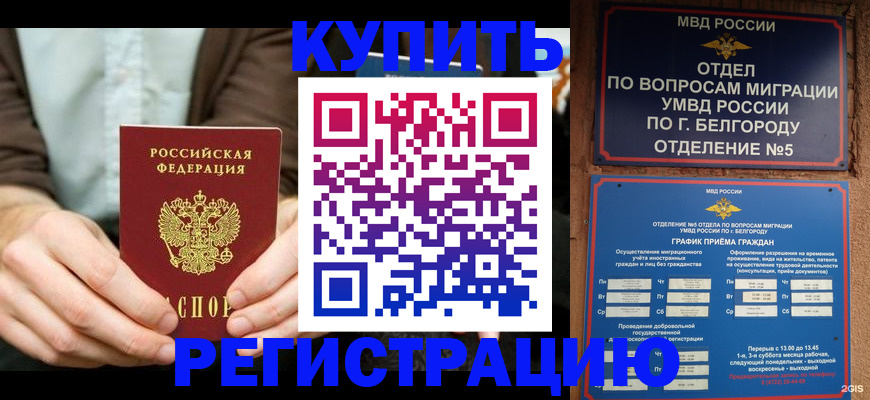 прописка 2025 в Светлограде